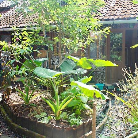 Farmer'S Yard Hostel Canggu Екстериор снимка