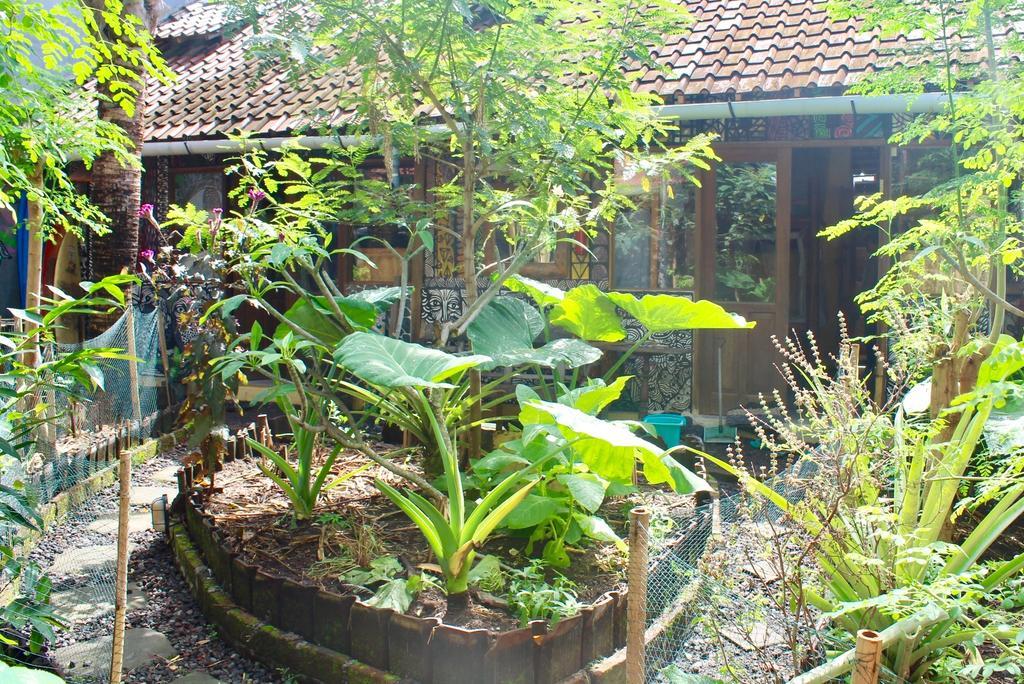 Farmer'S Yard Hostel Canggu Екстериор снимка